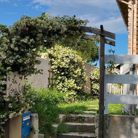 La Maison Du Saule Pompignac Екстериор снимка